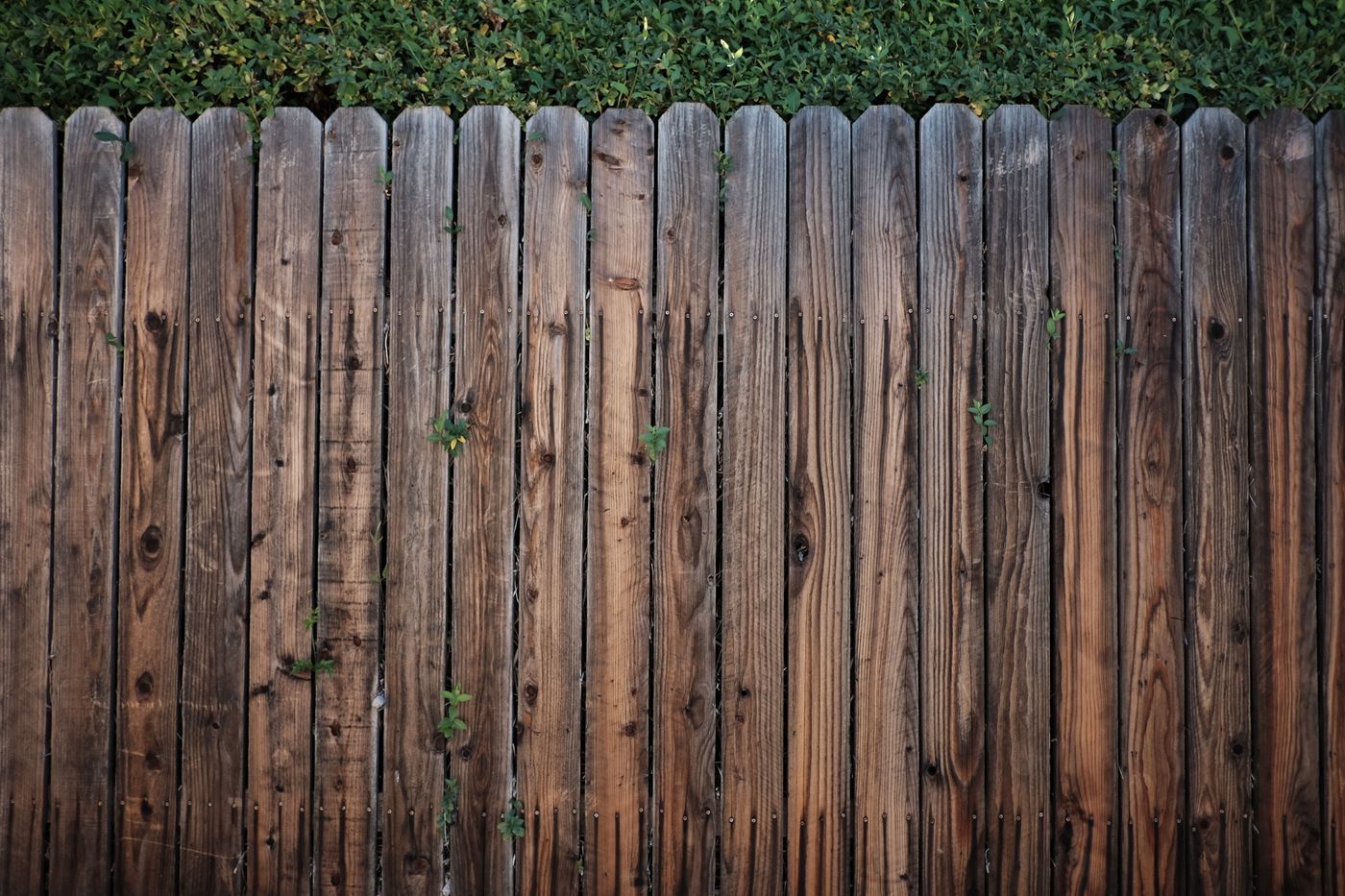 Wooden privacy fence installation in a Barrie backyard